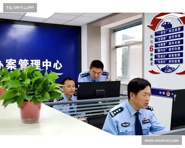 提升战斗效率全面解析申鹤腿法技巧与实战应用