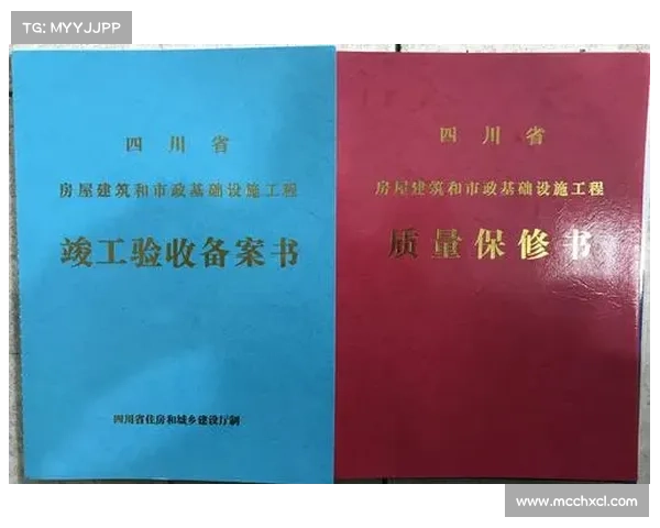 依法购买武器的逐步操作流程与合规注意事项含申请材料与要点详解 依法购买武器的逐步操作流程与合规注意事项含申请材料与要点详解