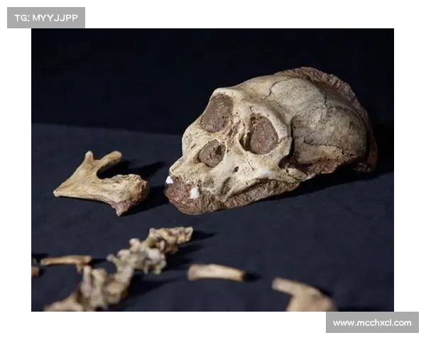 揭开恐怖祖先的神秘面纱五个被历史遗忘的惊悚真相